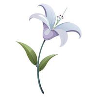 Modern lily with invisible stem and floating presence illustration floral vector