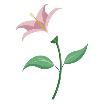 Elegant lily with invisible stem and floating presence illustration vector
