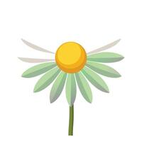 Abstract light beam daisy with a bright radiating glow in a illustration vector