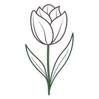 Elegant line art tulip with a beautiful single stroke elegance in illustration vector