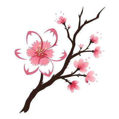 Elegant light brushstroke cherry blossom showcasing its gentle ink wash in design