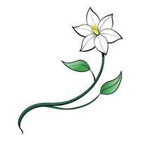 Elegant linear jasmine vine with beautifully delicate curves in illustration vector