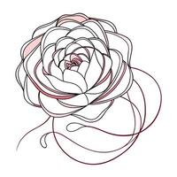Elegant line wrapped peony featuring its stylized spiraling lines in design vector