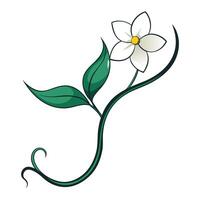 Unique linear jasmine vine featuring its flowing curved aesthetic in design vector