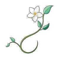 Abstract linear jasmine vine showcasing its gentle curved design in art vector