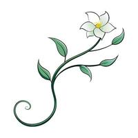 Modern linear jasmine vine highlighting its subtle curved lines in graphic vector