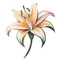 Unique minimal ink lily highlighting its simple brush marks in graphic vector