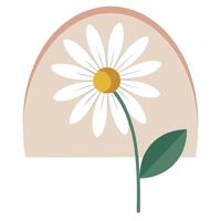 Modern minimalist arch daisy showcasing its semi-circular design in illustration vector