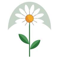 Elegant minimalist arch daisy featuring its abstract curved composition in design vector