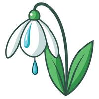 Abstract minimalist snowdrop with delicate water droplets in illustration vector