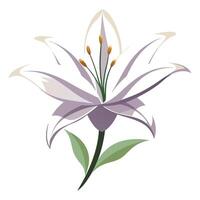 Abstract negative space lily with a delicate floating outline in art vector