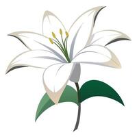 Elegant negative space lily featuring its abstract floating outline in design vector