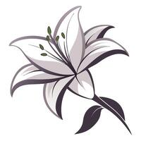 Unique negative space lily highlighting its minimal floating shape in graphic vector