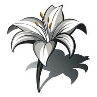 Modern negative space lily showcasing its minimal shadow form in illustration vector