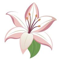 Elegant negative space lily featuring its refined hidden beauty in design vector