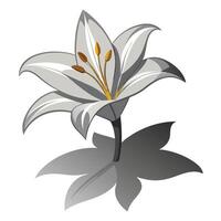 Unique negative space lily highlighting its implied shadow in graphic vector