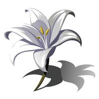 Elegant negative space lily featuring its subtle shadow outline in design vector