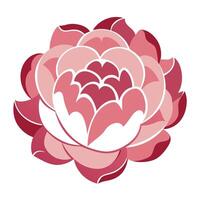 Unique negative space peony highlighting its outlined petal form in graphic vector