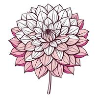 Elegant dahlia with single flowing stroke illustration minimalist floral art vector