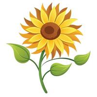 Sunflower with curved petals and smooth flowing arcs illustration floral vector