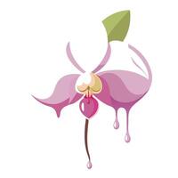 Modern orchid with petal drip design illustration abstract floral vector