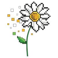 Daisy with pixel fade effect illustration digital abstract art vector