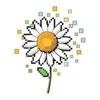 Pixel fade daisy with digital minimalism illustration modern abstract vector
