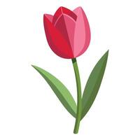 Unique shadow only tulip highlighting its delicate depth fade in graphic vector