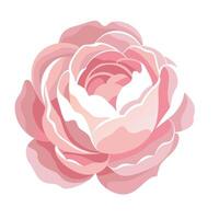 Abstract shadow silhouette peony with a soft fade effect in art vector
