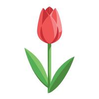 Abstract shadow only tulip with a gentle fading depth in illustration vector