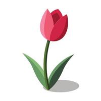Elegant shadow only tulip featuring its soft fading shadow effect in design vector