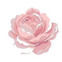 Elegant shadow silhouette peony featuring its delicate fade in design vector
