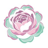 Abstract shadow silhouette peony highlighting its subtle gradient fade in graphic vector