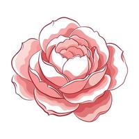 Modern shadow silhouette peony featuring its gentle fading effect in design vector