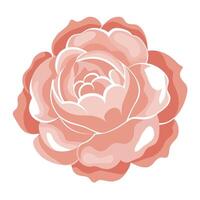 Creative shadow silhouette peony with a smooth fade in illustration vector