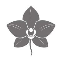 Unique silhouette orchid highlighting its minimal inner tracing in graphic vector