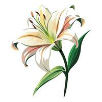 Abstract single brushstroke lily with expressive simplicity in illustration vector