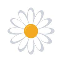 Elegant single dot center daisy featuring its clean simple design in design vector