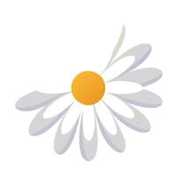 Abstract single dot center daisy with an ultra simple design in art vector