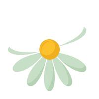 Unique single dot center daisy highlighting its minimal dot in graphic vector