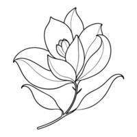 Abstract single line magnolia with a smooth unbroken flow in illustration vector