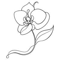 Unique single line orchid highlighting its fluid continuous design in graphic vector