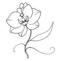 Modern single line orchid showcasing its unbroken flowing line in art vector
