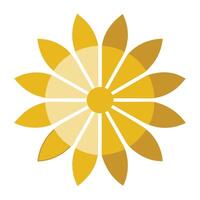 Modern sliced bloom daisy showcasing its geometric section design in illustration vector