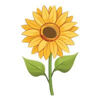 Unique soft edge sunflower highlighting its delicate gradient fade in graphic vector