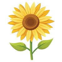 Abstract soft edge sunflower with gentle gradient hints in illustration vector