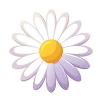 Modern soft gradient daisy showcasing its subtle petal fade in illustration vector