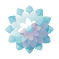 Modern soft shadow bloom showcasing its subtle petal shadows in art vector