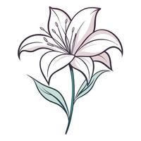 Modern lily with thin line design and elegant curves illustration floral vector