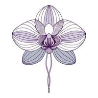 Delicate orchid with thin wire framework illustration minimalist floral art vector